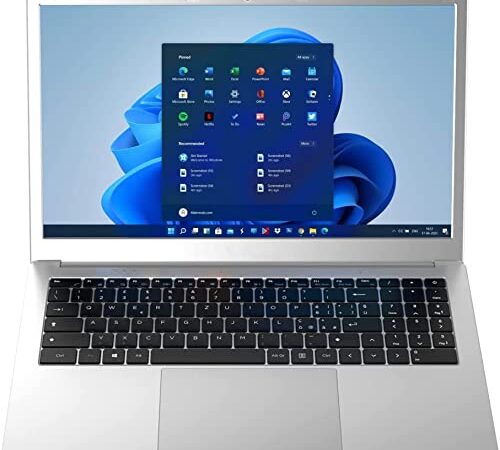 difinity (17,3 Zoll HD++) lautloses Notebook (Intel® Celeron® Quad J4125 2.70 GHz, 8GB DDR4, 512 GB SSD, USB 3.0, Bluetooth, Intel HD Graphics 500, LAN, m-HDMI, Windows 11, MS Office) #6901