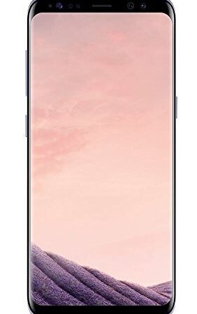 Samsung Galaxy S8 (G950F) - 64 GB - Grau (Generalüberholt)