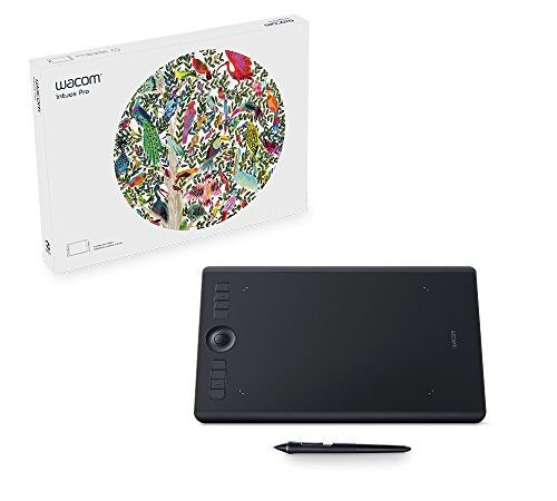 Wacom Intuos Pro Stifttablett Größe M, Grafiktablett (inkl. Pro Pen 2 Eingabestift mit verschiedenen Spitzen, geeignet für Windows & Apple), Schwarz