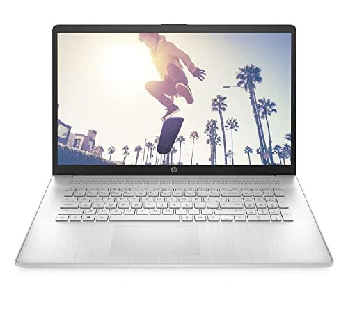 HP 17 Silber 17" FHD Ryzen 5 5500U 32GB RAM 1000GB SSD Windows 11 Pro Office 2019 Professional