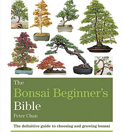 The Bonsai Beginner's Bible: The definitive guide to choosing and growing bonsai (Octopus Bible Series)