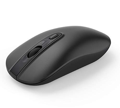 Kabellose Maus, Kabellose Ergonomische Maus mit USB Nano Empfänger, 800/1200/1600 DPI, Leise Funkmaus für Windows / Mabook / Linux, Schwarz