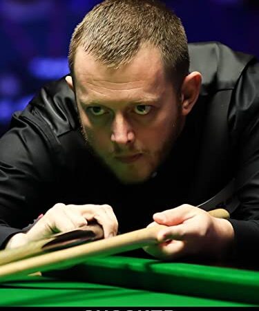 Snooker: Northern Ireland Open in Belfast / Finale