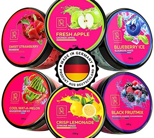 M. ROSENFELD Dampfsteine Aroma - 6 Steine Set mit Liquid Aroma Made in GERMANY - Duftsteine wie Grüner Apfel, Erdbeere Ice, Wassermelone, Zitrone Minze, Blaubeere, Beerenmix